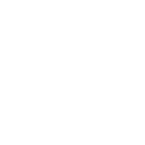 Drehdings Spiel Speedknowledge